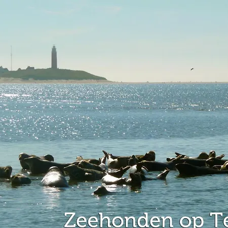 公寓 In Netherlands Near The Coast Westermient