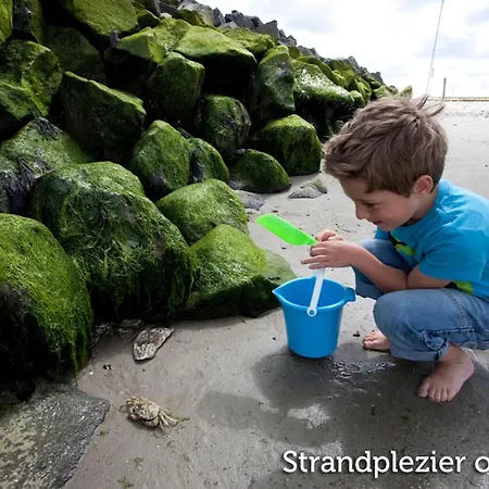 In Netherlands Near The Coast 公寓