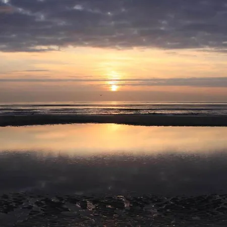 公寓 In Netherlands Near The Coast *
