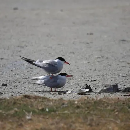 公寓 In Netherlands Near The Coast *