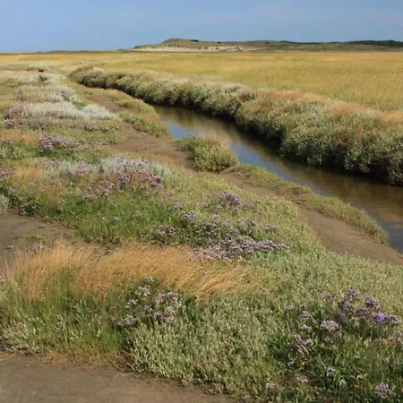 In Netherlands Near The Coast * Westermient