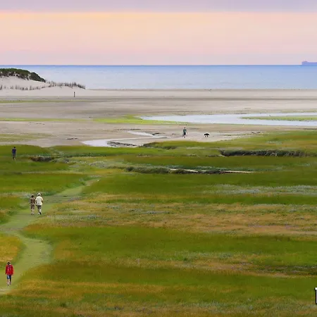 In Netherlands Near The Coast * Westermient
