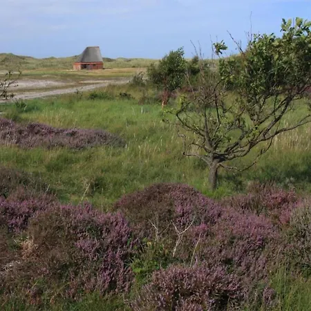 In Netherlands Near The Coast 公寓