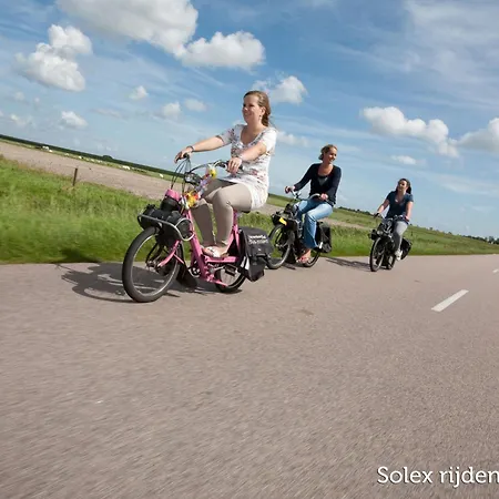 In Netherlands Near The Coast *